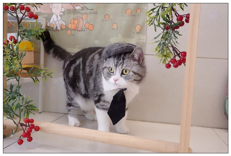 Funny Pet Cat Hat Gentleman's Hat Beret Tie Bathing Blood Gangster Handsome Cosplay Photo Prop Pet Halloween Costume