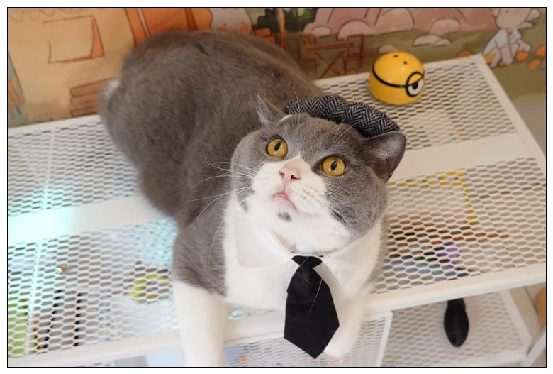 Funny Pet Cat Hat Gentleman's Hat Beret Tie Bathing Blood Gangster Handsome Cosplay Photo Prop Pet Halloween Costume