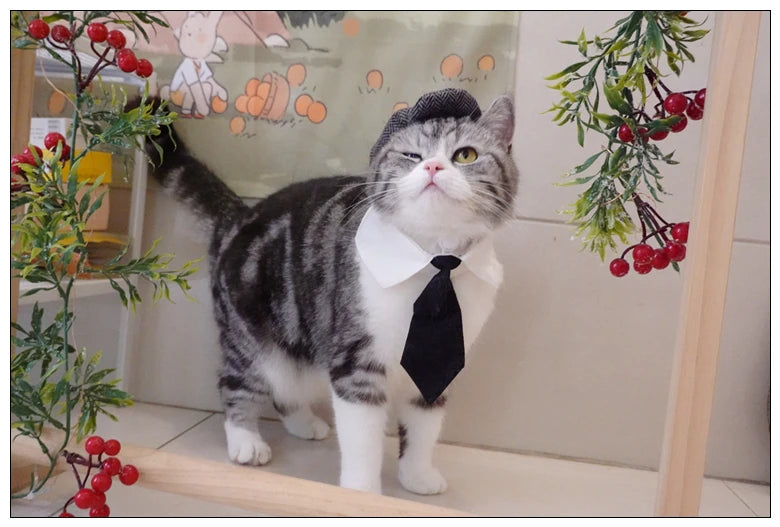 Funny Pet Cat Hat Gentleman's Hat Beret Tie Bathing Blood Gangster Handsome Cosplay Photo Prop Pet Halloween Costume