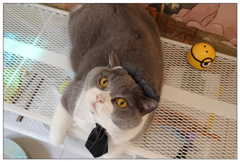 Funny Pet Cat Hat Gentleman's Hat Beret Tie Bathing Blood Gangster Handsome Cosplay Photo Prop Pet Halloween Costume