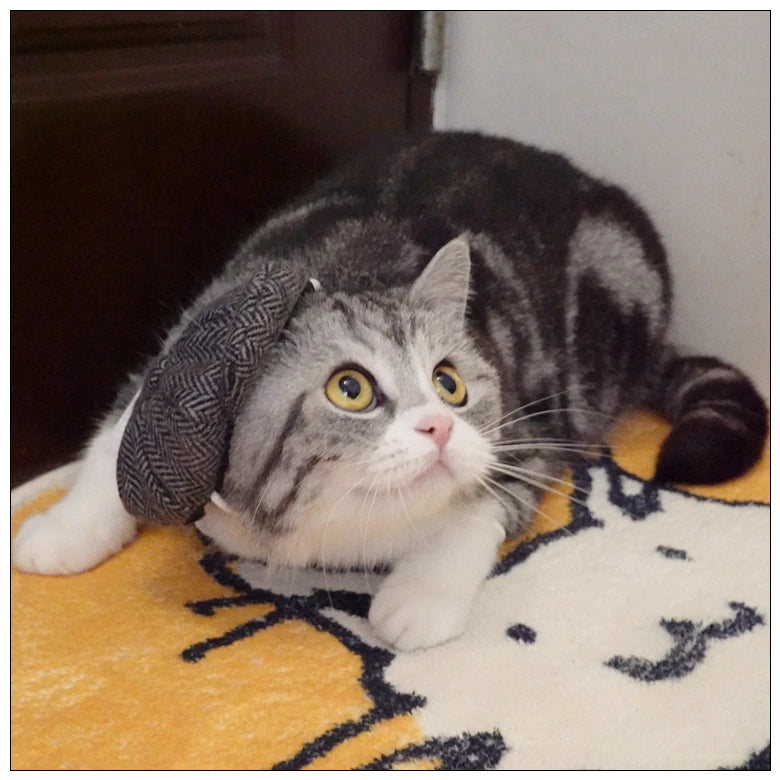 Funny Pet Cat Hat Gentleman's Hat Beret Tie Bathing Blood Gangster Handsome Cosplay Photo Prop Pet Halloween Costume