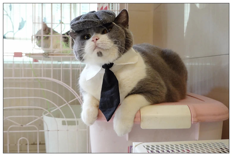 Funny Pet Cat Hat Gentleman's Hat Beret Tie Bathing Blood Gangster Handsome Cosplay Photo Prop Pet Halloween Costume