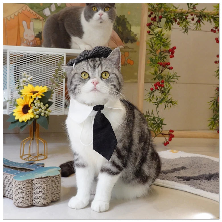 Funny Pet Cat Hat Gentleman's Hat Beret Tie Bathing Blood Gangster Handsome Cosplay Photo Prop Pet Halloween Costume
