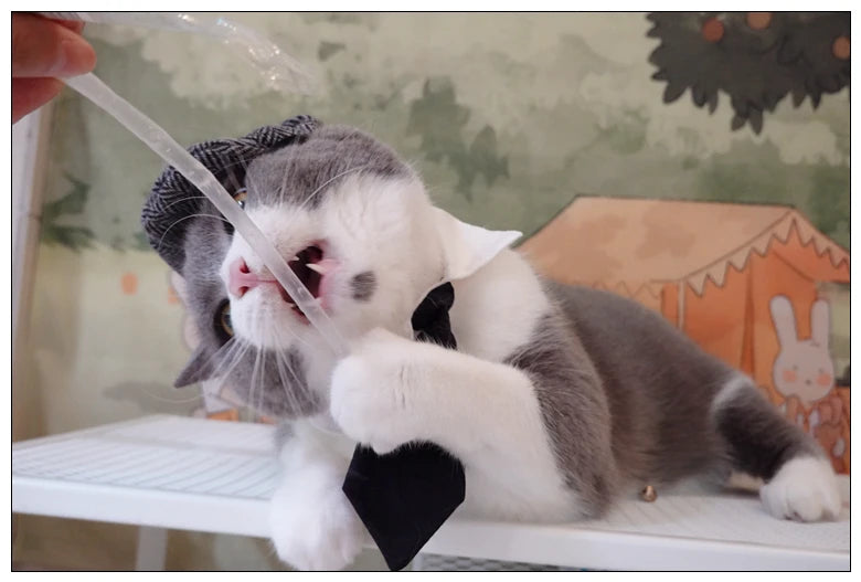 Funny Pet Cat Hat Gentleman's Hat Beret Tie Bathing Blood Gangster Handsome Cosplay Photo Prop Pet Halloween Costume