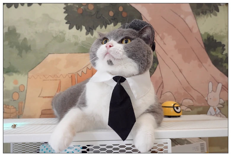 Funny Pet Cat Hat Gentleman's Hat Beret Tie Bathing Blood Gangster Handsome Cosplay Photo Prop Pet Halloween Costume