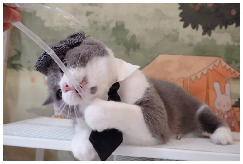 Funny Pet Cat Hat Gentleman's Hat Beret Tie Bathing Blood Gangster Handsome Cosplay Photo Prop Pet Halloween Costume