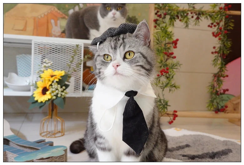 Funny Pet Cat Hat Gentleman's Hat Beret Tie Bathing Blood Gangster Handsome Cosplay Photo Prop Pet Halloween Costume