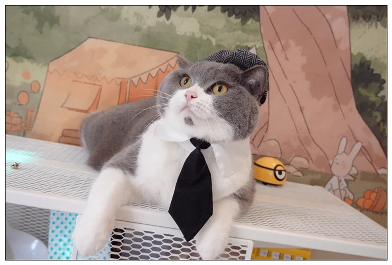 Funny Pet Cat Hat Gentleman's Hat Beret Tie Bathing Blood Gangster Handsome Cosplay Photo Prop Pet Halloween Costume