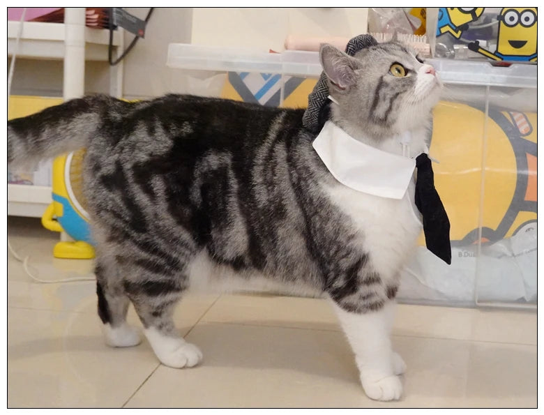 Funny Pet Cat Hat Gentleman's Hat Beret Tie Bathing Blood Gangster Handsome Cosplay Photo Prop Pet Halloween Costume