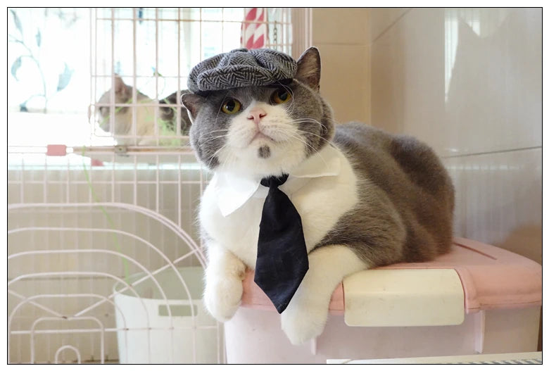 Funny Pet Cat Hat Gentleman's Hat Beret Tie Bathing Blood Gangster Handsome Cosplay Photo Prop Pet Halloween Costume