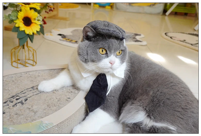 Funny Pet Cat Hat Gentleman's Hat Beret Tie Bathing Blood Gangster Handsome Cosplay Photo Prop Pet Halloween Costume