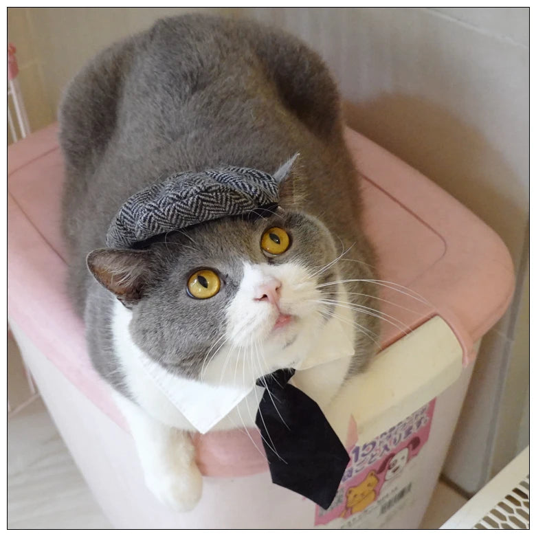 Funny Pet Cat Hat Gentleman's Hat Beret Tie Bathing Blood Gangster Handsome Cosplay Photo Prop Pet Halloween Costume