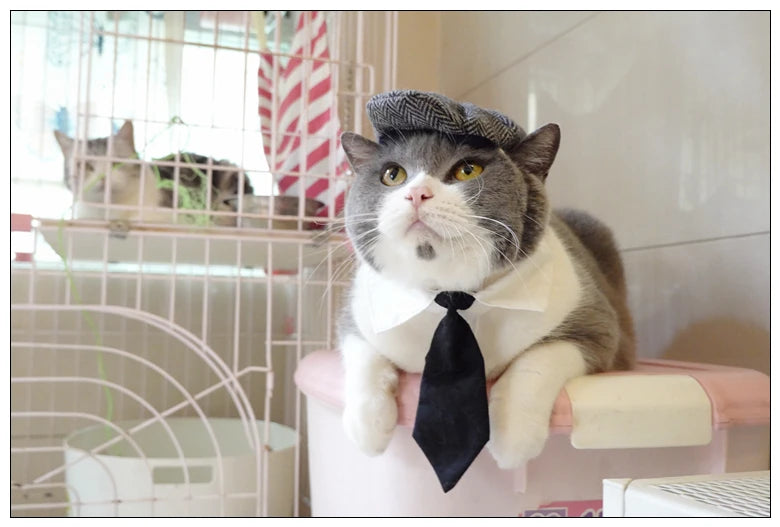 Funny Pet Cat Hat Gentleman's Hat Beret Tie Bathing Blood Gangster Handsome Cosplay Photo Prop Pet Halloween Costume
