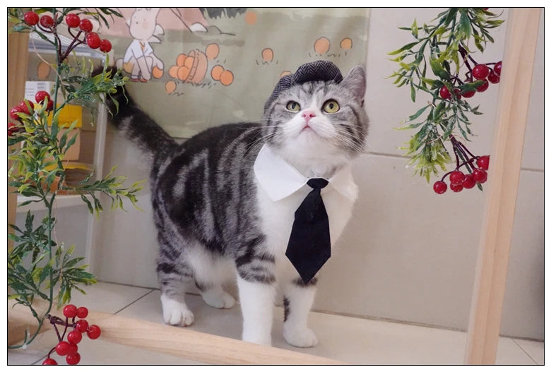 Funny Pet Cat Hat Gentleman's Hat Beret Tie Bathing Blood Gangster Handsome Cosplay Photo Prop Pet Halloween Costume