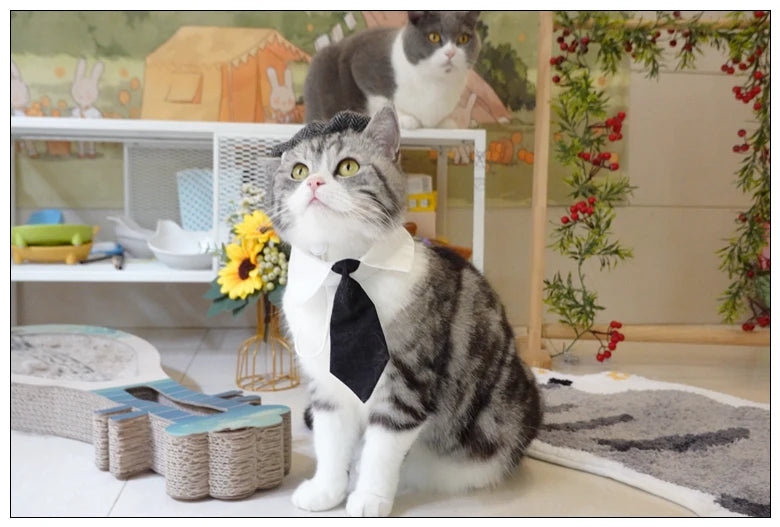 Funny Pet Cat Hat Gentleman's Hat Beret Tie Bathing Blood Gangster Handsome Cosplay Photo Prop Pet Halloween Costume