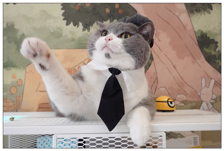 Funny Pet Cat Hat Gentleman's Hat Beret Tie Bathing Blood Gangster Handsome Cosplay Photo Prop Pet Halloween Costume