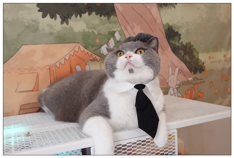Funny Pet Cat Hat Gentleman's Hat Beret Tie Bathing Blood Gangster Handsome Cosplay Photo Prop Pet Halloween Costume