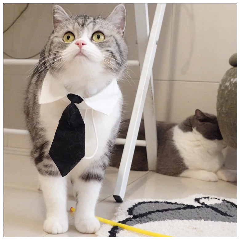 Funny Pet Cat Hat Gentleman's Hat Beret Tie Bathing Blood Gangster Handsome Cosplay Photo Prop Pet Halloween Costume