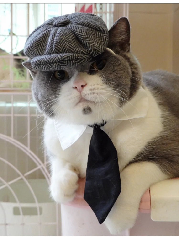 Funny Pet Cat Hat Gentleman's Hat Beret Tie Bathing Blood Gangster Handsome Cosplay Photo Prop Pet Halloween Costume