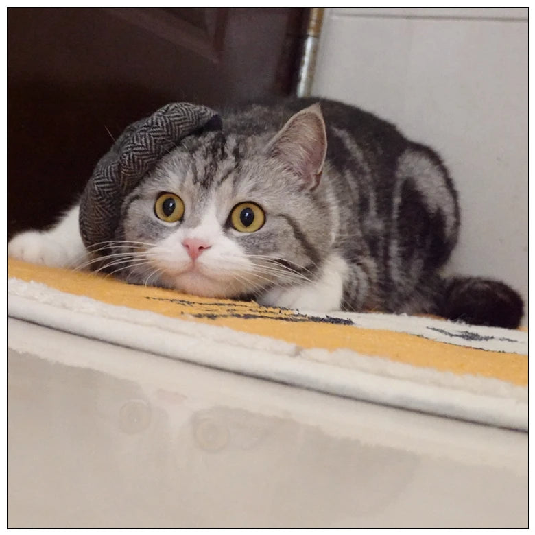 Funny Pet Cat Hat Gentleman's Hat Beret Tie Bathing Blood Gangster Handsome Cosplay Photo Prop Pet Halloween Costume