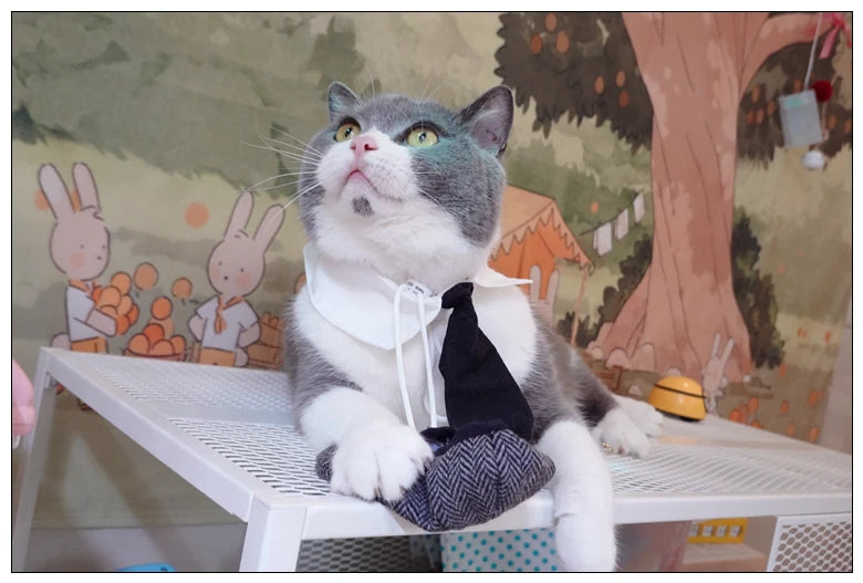 Funny Pet Cat Hat Gentleman's Hat Beret Tie Bathing Blood Gangster Handsome Cosplay Photo Prop Pet Halloween Costume