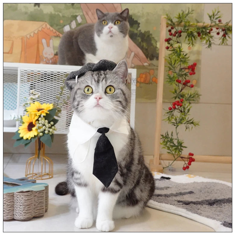 Funny Pet Cat Hat Gentleman's Hat Beret Tie Bathing Blood Gangster Handsome Cosplay Photo Prop Pet Halloween Costume