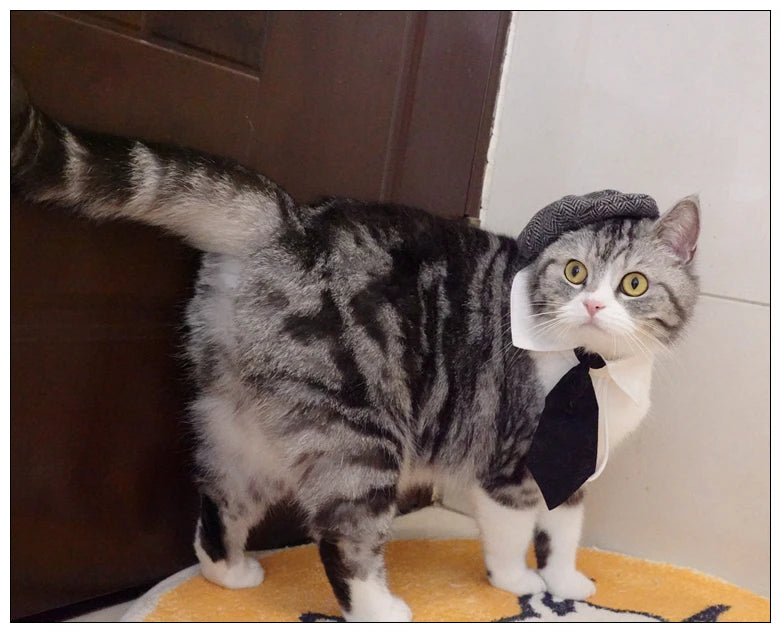 Funny Pet Cat Hat Gentleman's Hat Beret Tie Bathing Blood Gangster Handsome Cosplay Photo Prop Pet Halloween Costume